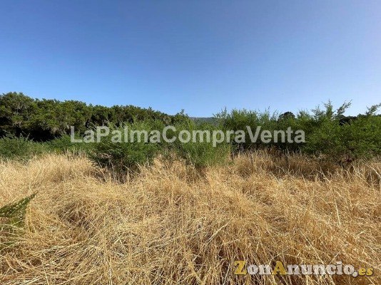 ID-457 Terreno para el cultivo, está fácil